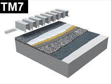 TM7